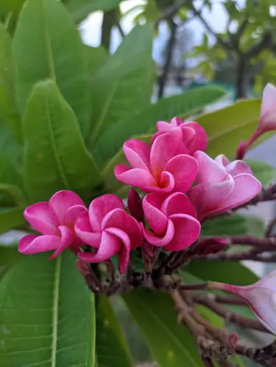 Photograph by Prakrisht Dahiya